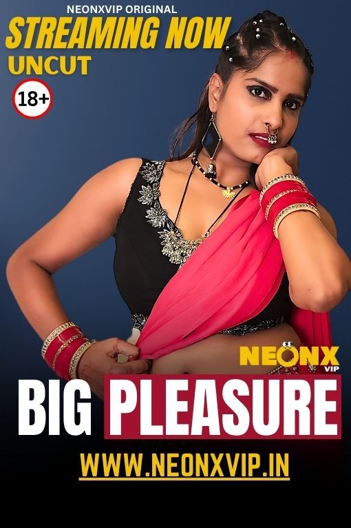 Big Pleasure (2025) Hindi NeonX Short Films HDRip