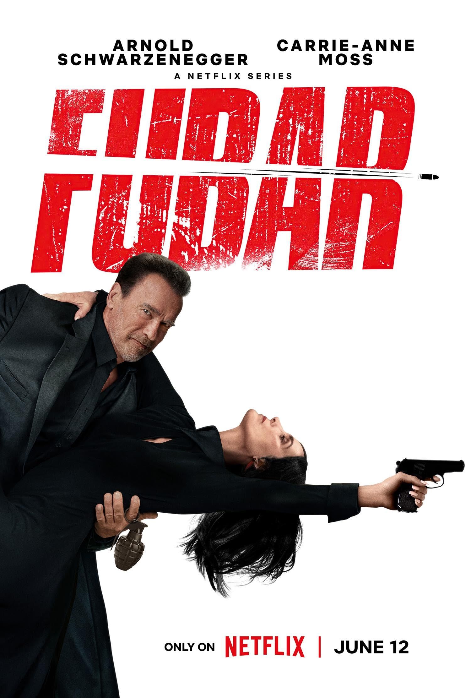 FUBAR (2025) (Season 2 Complete) Hindi Complete Netflix Series HDRip