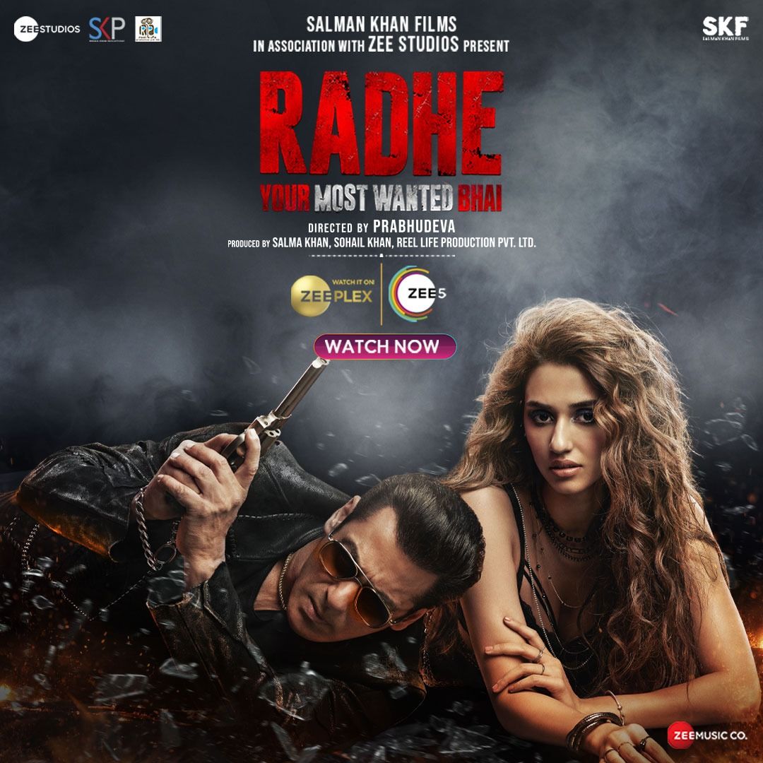 Radhe (2021) Hindi HDRip