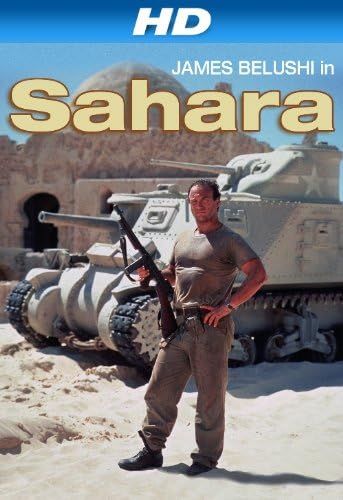 Sahara (1995) Hindi ORG Dubbed Full Movie HDRip