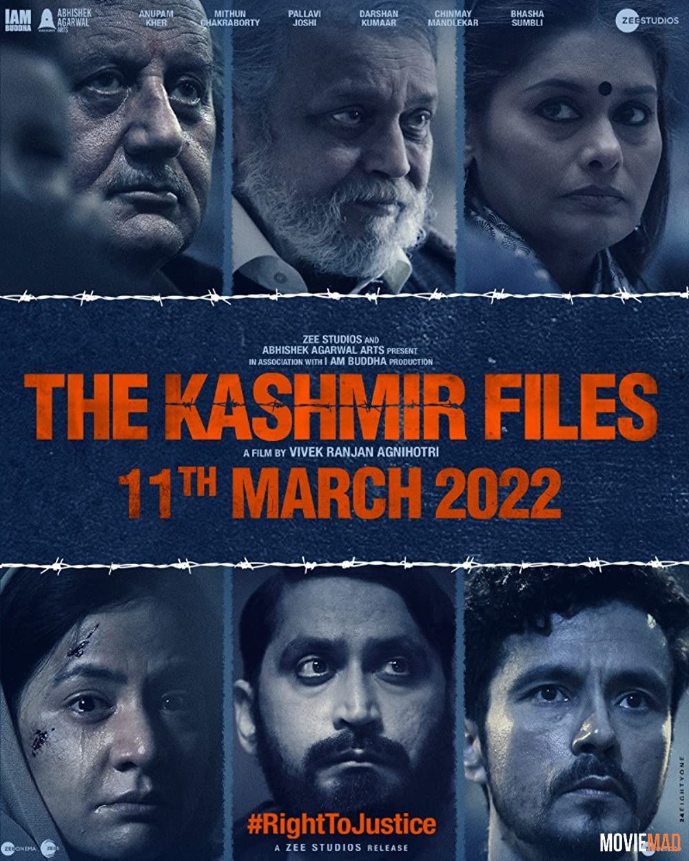 The Kashmir Files (2022) Hindi pDVDRip Full Movie 1080p 720p 480p