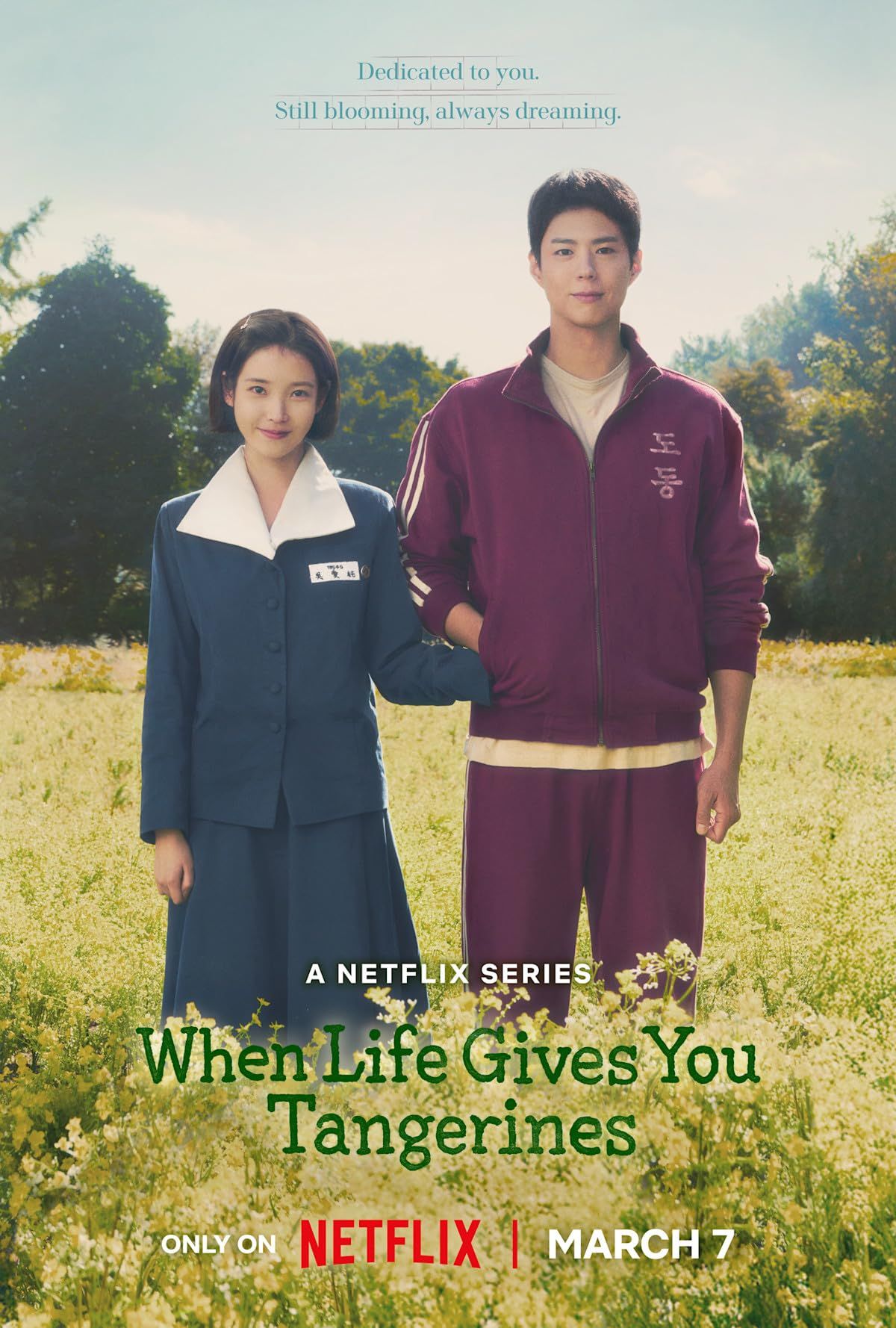 When Life Gives You Tangerines (2025) (Season 1 Complete) Hindi Netflix Web Series HDRip