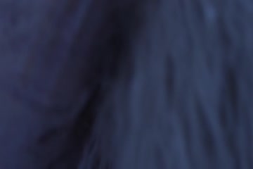 movie_title