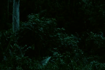 movie_title