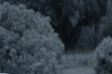 movie_title