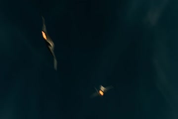 movie_title