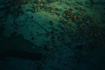 movie_title