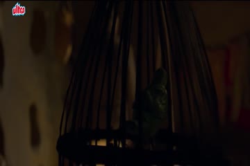 movie_title