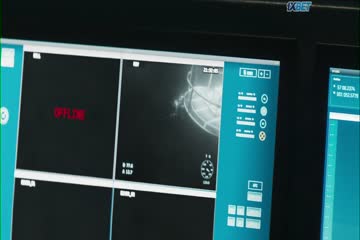 movie_title