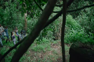 movie_title