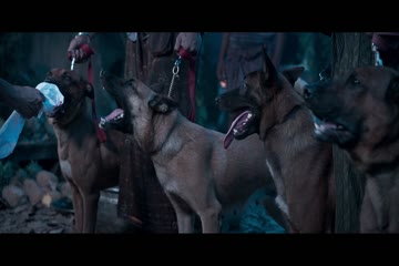 movie_title