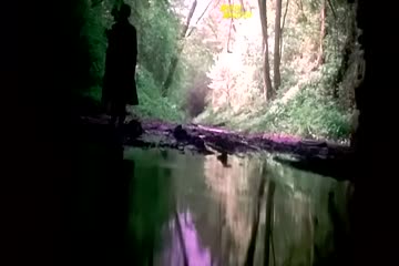 movie_title