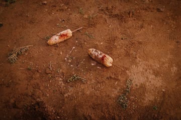 movie_title