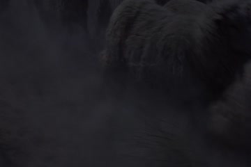 movie_title
