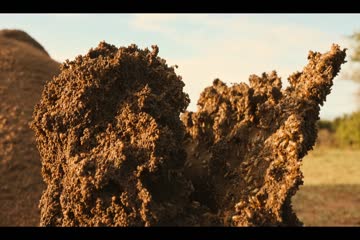 movie_title