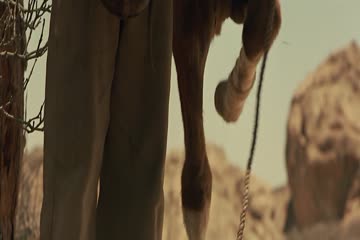 movie_title
