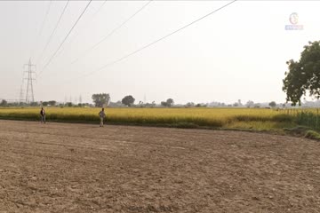 movie_title