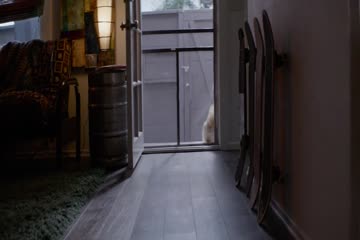 movie_title