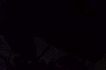 movie_title