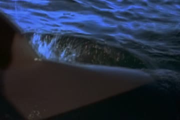 movie_title