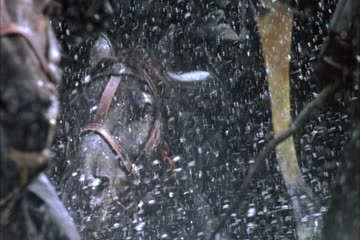 movie_title
