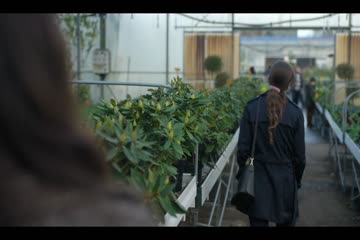 movie_title