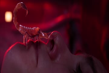 movie_title