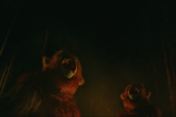 movie_title