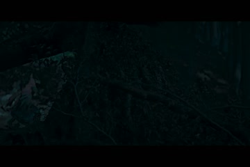 movie_title