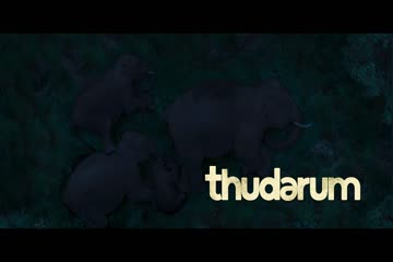 movie_title