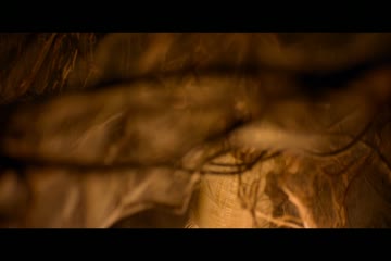 movie_title