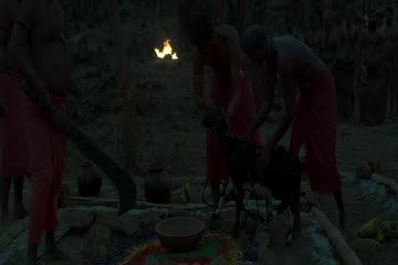 movie_title